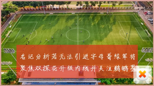 名记分析若无法引进字母哥绿军将聚焦双探花升级内线并关注鹈鹕墨菲