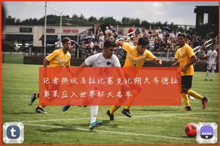 记者热议马拉比塞克比朔夫韦德拉奥果应入世界杯大名单